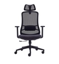 High Back Chair | Mesh | N22
