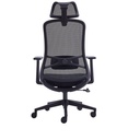 High Back Chair | Mesh | N22