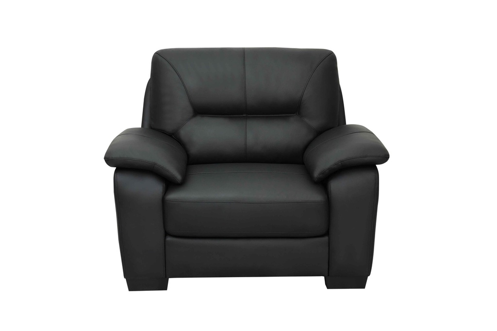 1 Seater