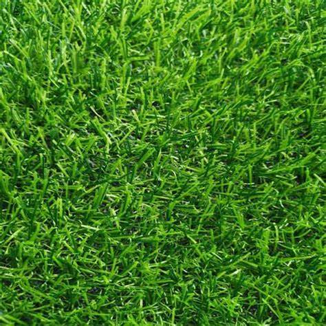 Grass Carpet | GRAS1 900