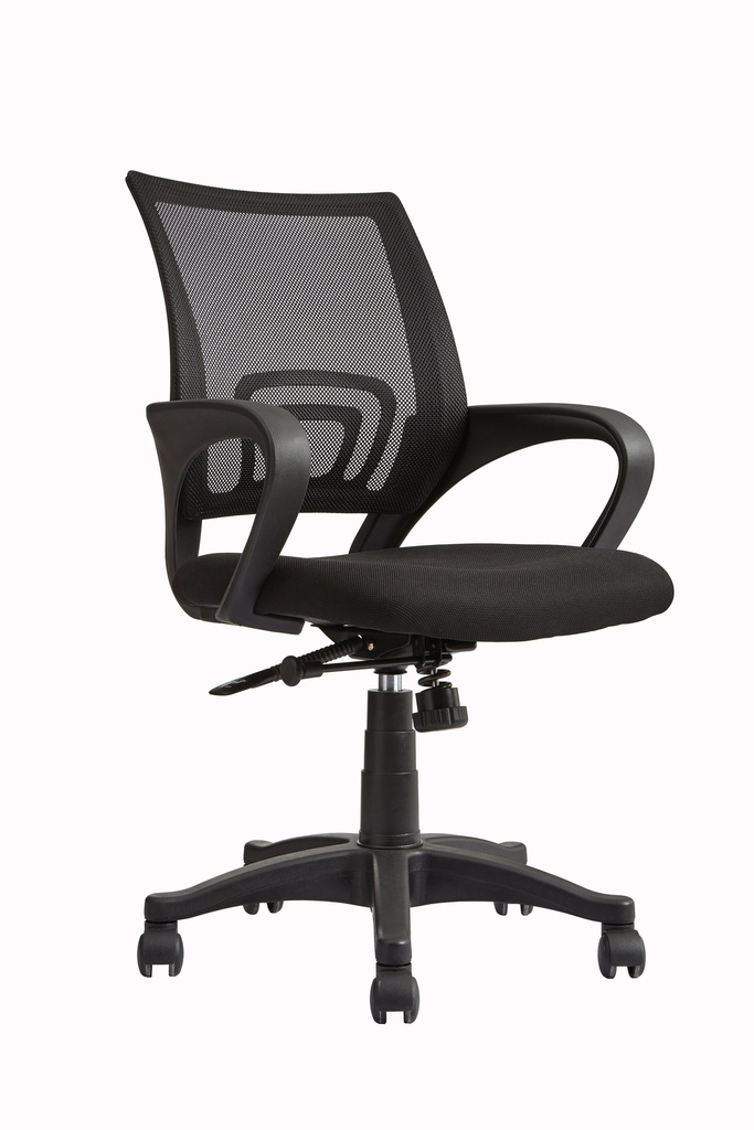 Low Back Chair | Mesh | N050