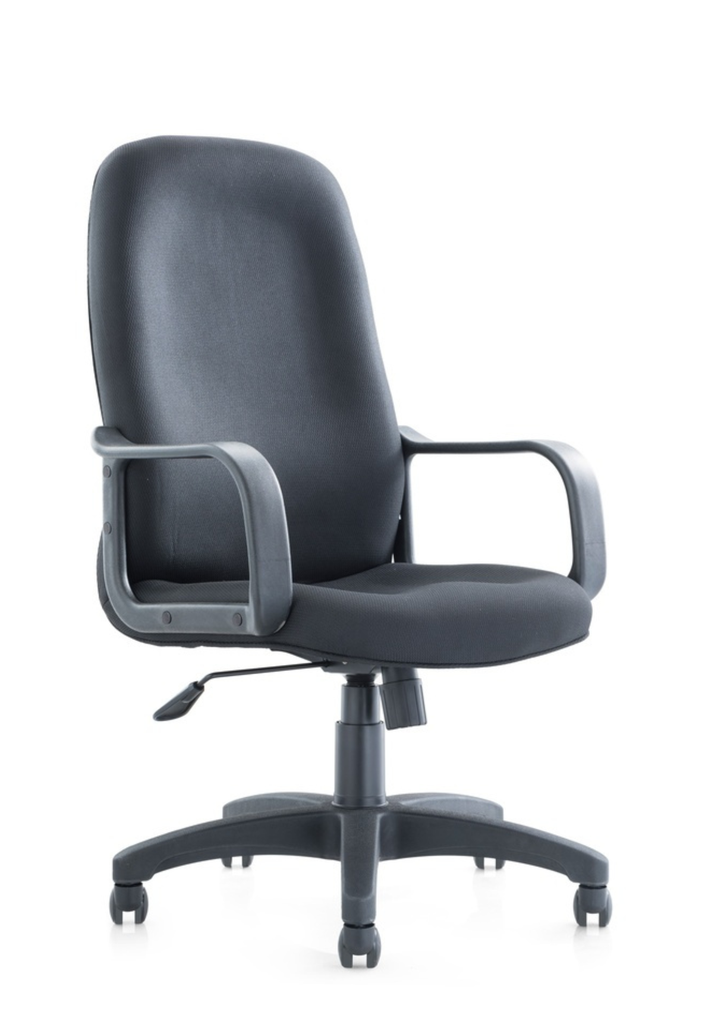 Mid Back Chair | B19M