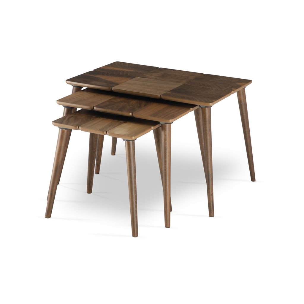 Nest Table 3 in 1 | Zebra