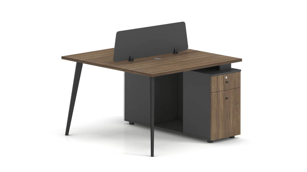 Workstation | 2 Seater | 1200 | OZ