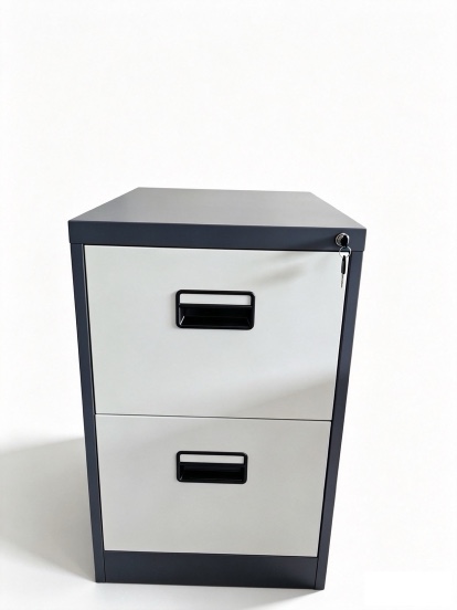 Steel Filing Cabinet | 2D | MY-2D