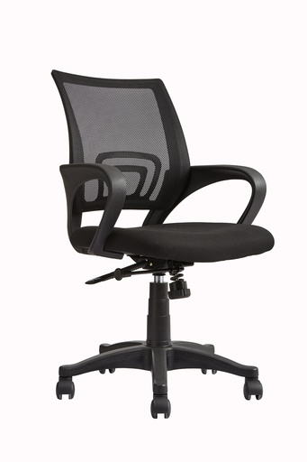 [XF1LBC04] Low Back Chair | Mesh | N050