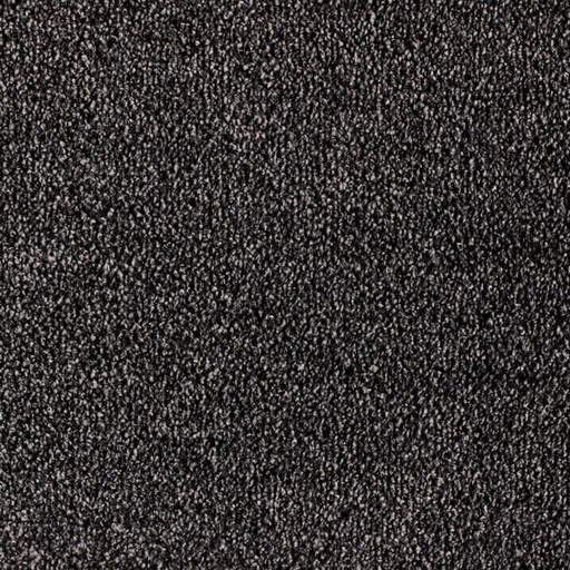 Full Loop Carpet  | Concord