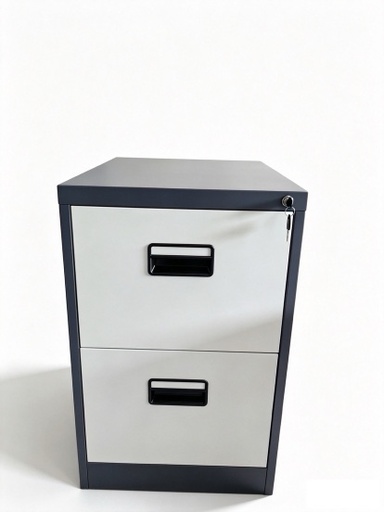 [MY1STC13] Steel Filing Cabinet | 2D | MY-2D
